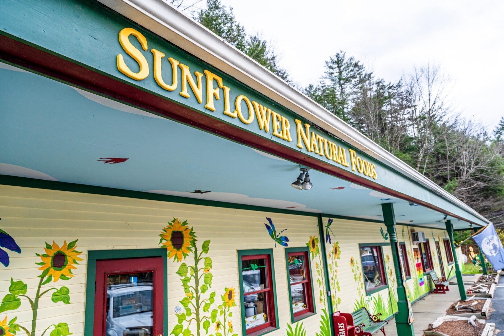 store front sign sunflower natural foods